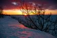 _IMG1808 copy.jpg
